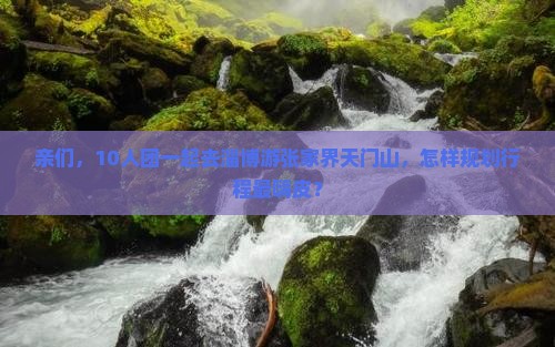 亲们，10人团一起去淄博游张家界天门山，怎样规划行程最嗨皮？