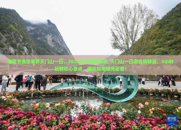 清明节去张家界天门山一日
