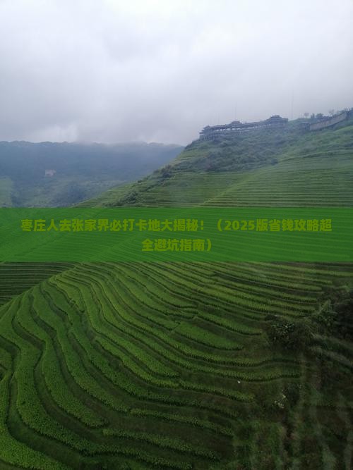 枣庄去张家界必去地