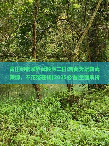 莆田到张家界武陵源二日游
