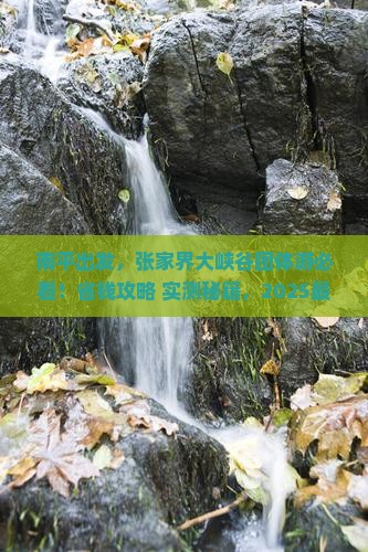 南平去张家界大峡谷团体旅游