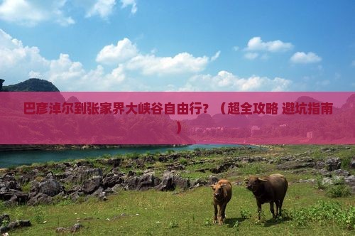 巴彦淖尔去张家界大峡谷自由团