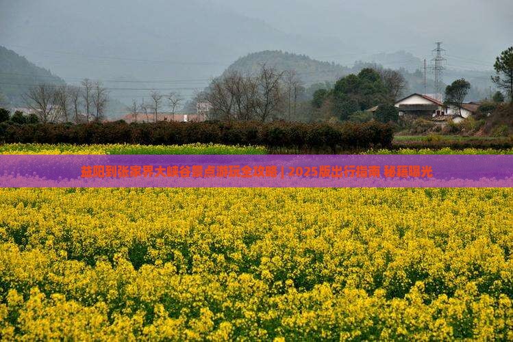 益阳到张家界大峡谷景点