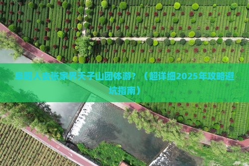 阜阳去张家界天子山团体旅游 阜阳去张家界天子山团体旅游