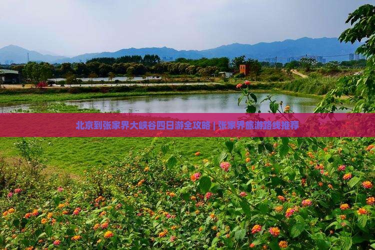 北京到张家界大峡谷四日游