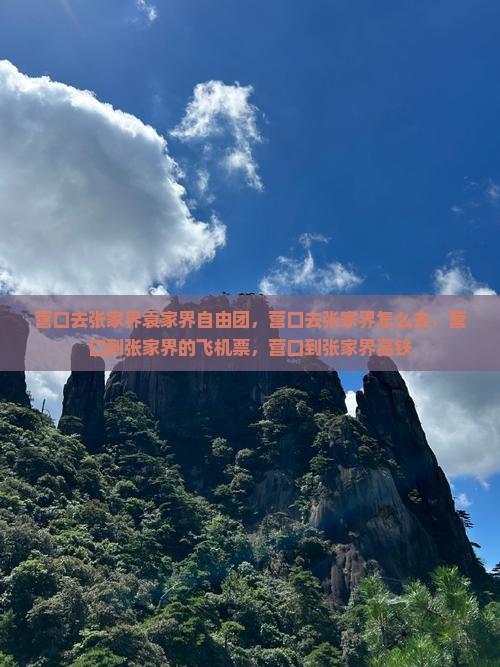 营口去张家界袁家界自由团