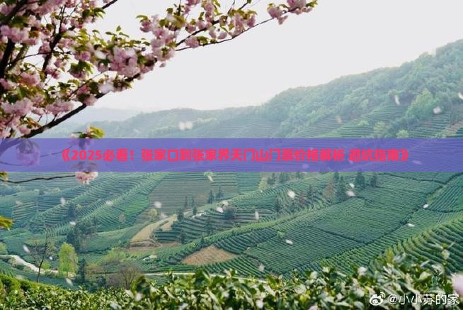 张家口到张家界天门山门票