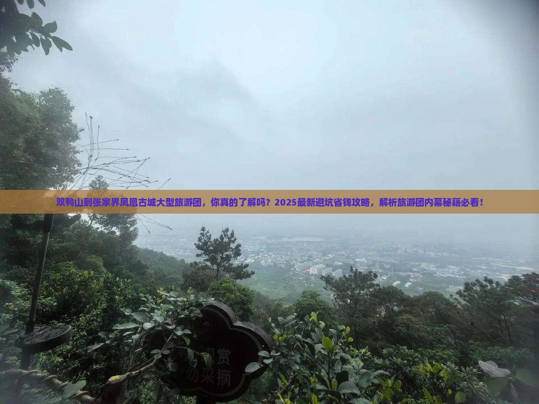双鸭山到张家界凤凰古城大型旅游团