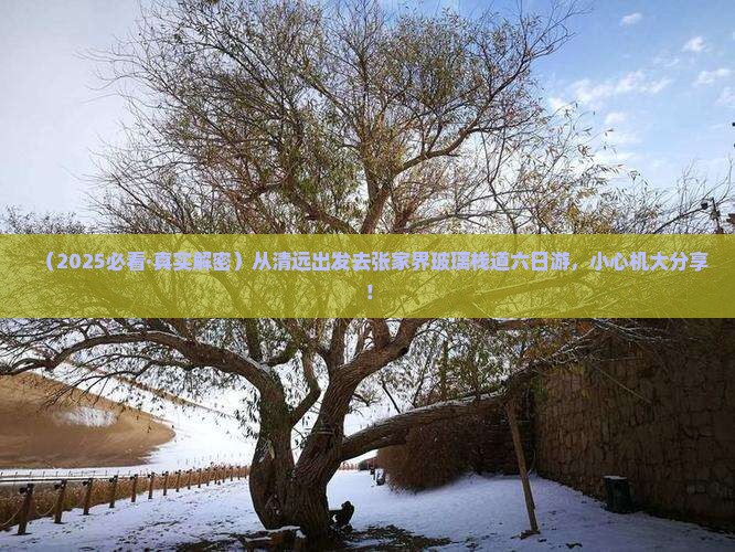 清远到张家界玻璃栈道六日游