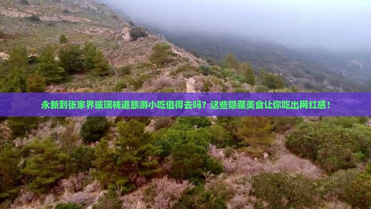 永新到张家界玻璃栈道旅游小吃