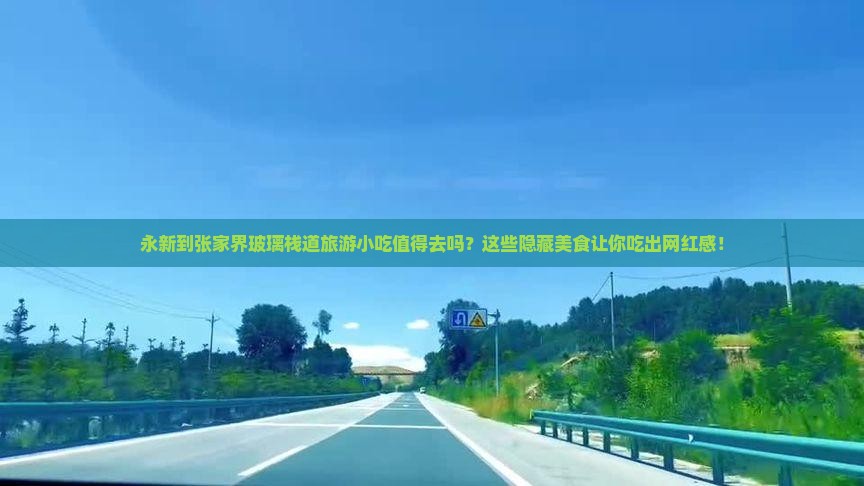 永新到张家界玻璃栈道旅游小吃