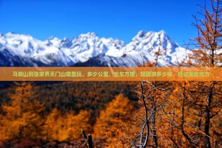 马鞍山到张家界天门山哪里玩