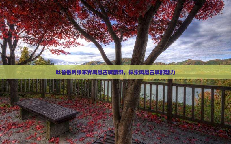 吐鲁番到张家界凤凰古城大型旅游团