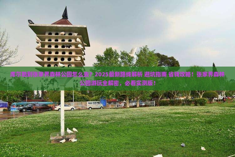 库尔勒到张家界森林公园旅游
