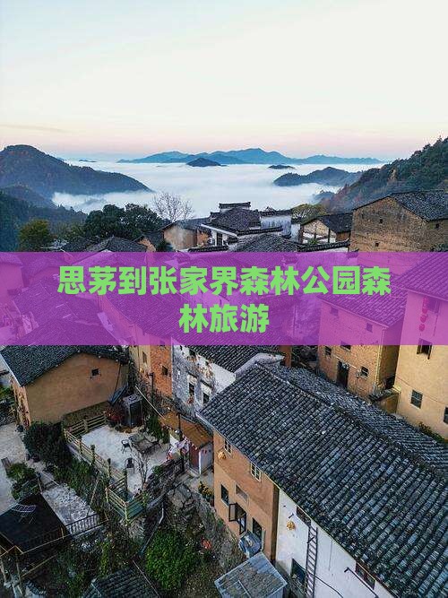 思茅去张家界森林公园团体旅游