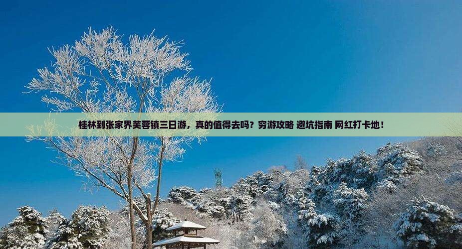 桂林到张家界芙蓉镇三日游