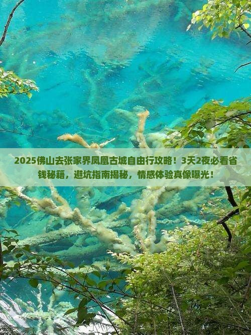 佛山去张家界凤凰古城自由行