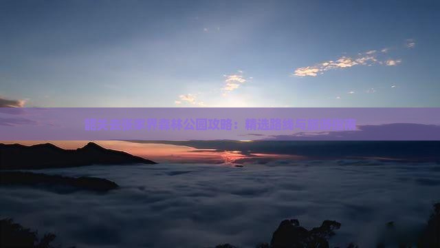 韶关去张家界森林公园攻略