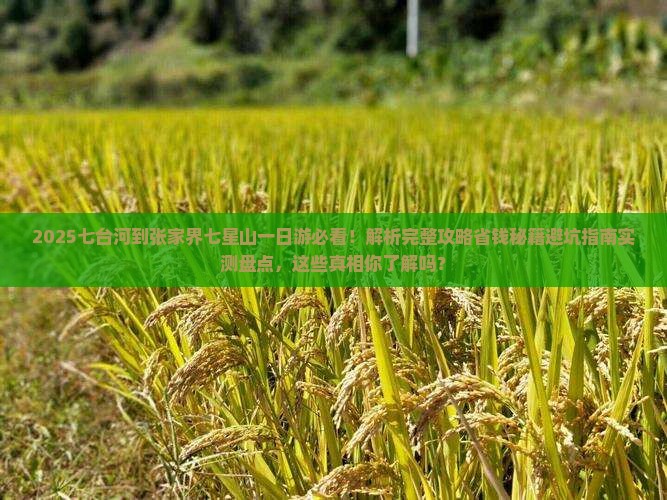 七台河到张家界七星山一日