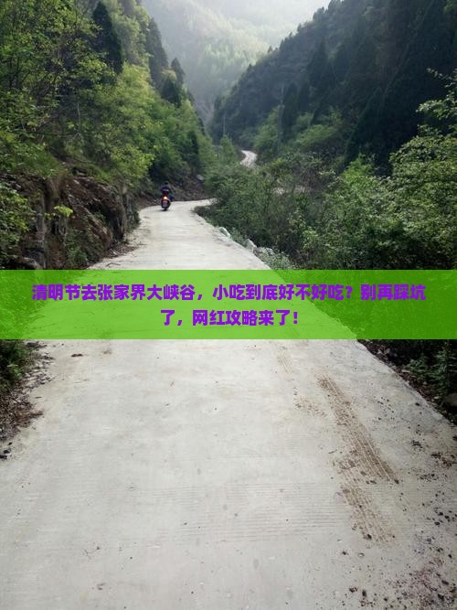 清明节到张家界大峡谷旅游小吃