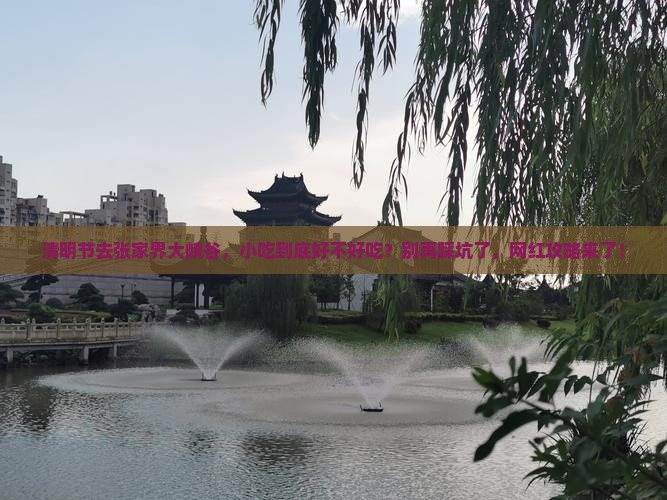 清明节到张家界大峡谷旅游小吃
