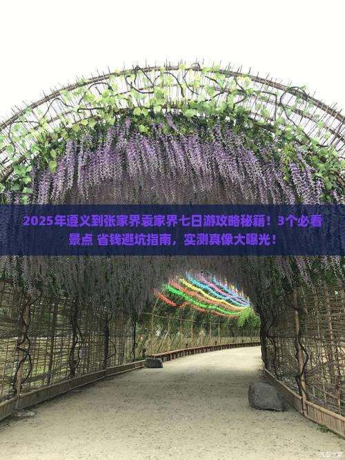 遵义到张家界袁家界七日游