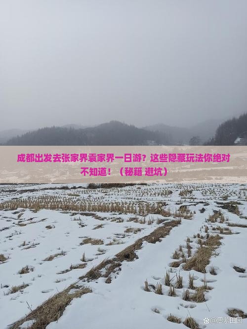 成都去张家界袁家界一日