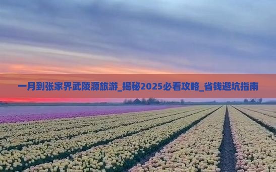 一月到张家界武陵源旅游
