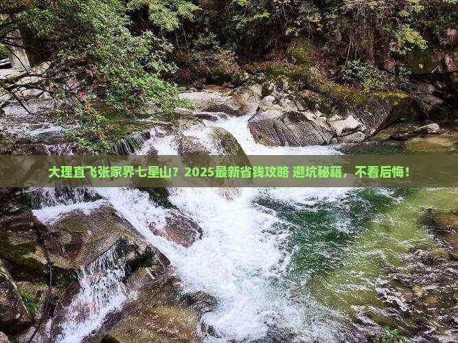 大理到张家界七星山旅行社