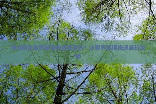 贵港到张家界玻璃栈道哪里玩