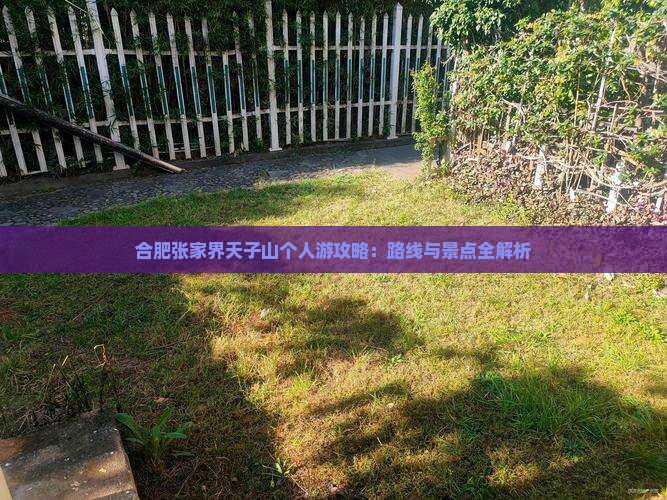 合肥去张家界天子山个人游