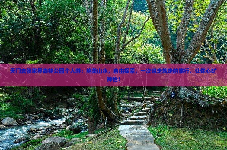 天门去张家界森林公园个人游