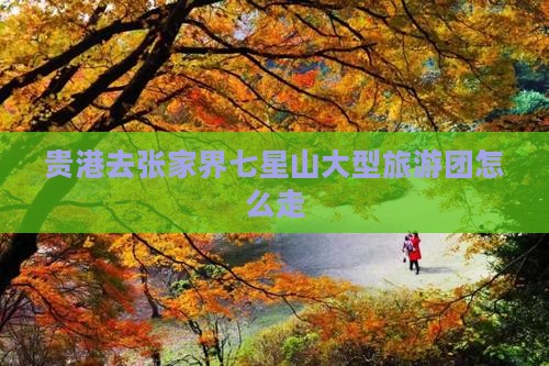 贵港去张家界七星山大型旅游团