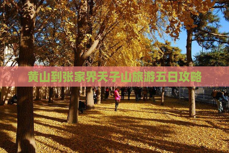 黄山到张家界天子山五日游