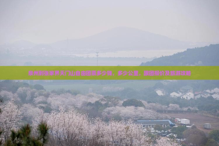 泉州到张家界天门山自由团