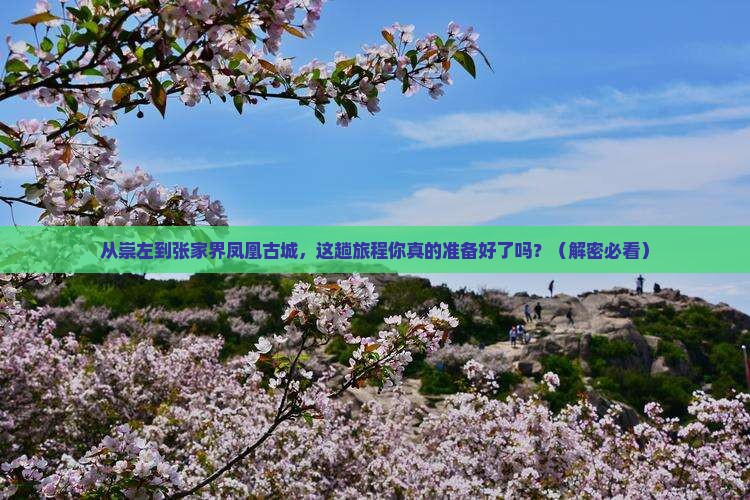 崇左去张家界凤凰古城攻略