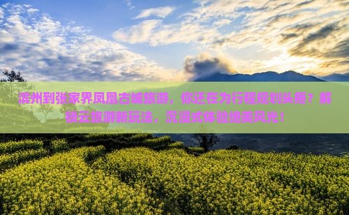 滨州到张家界凤凰古城旅游