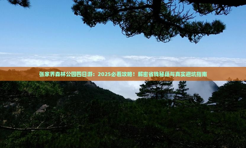 天水到张家界森林公园四日游