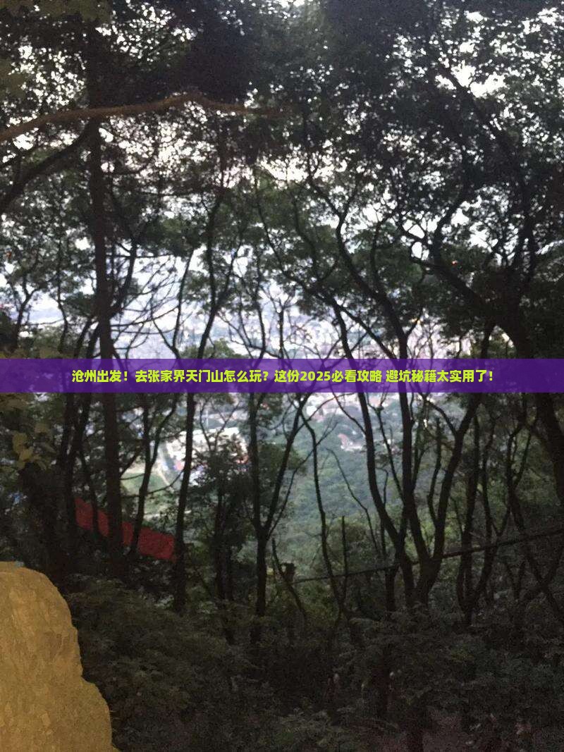 沧州去张家界天门山景点