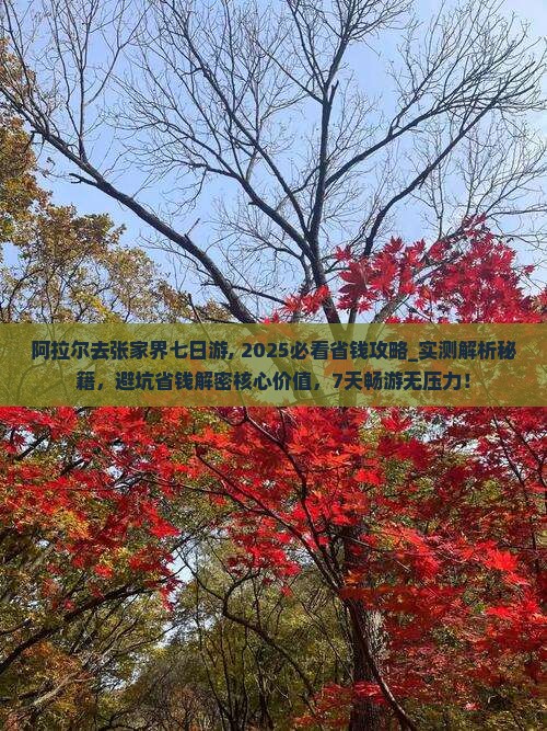 阿拉尔去张家界七日游