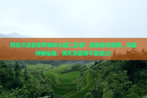 阿拉尔去张家界森林公园二日游