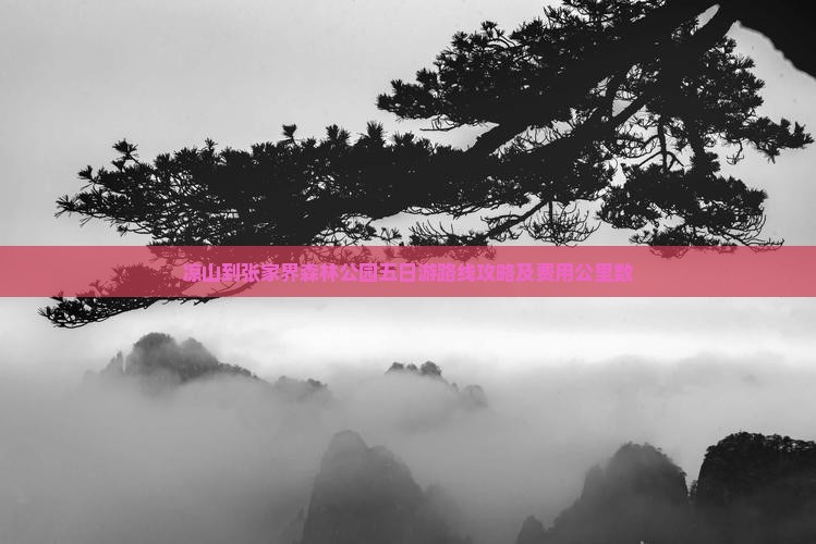 凉山到张家界森林公园五日游