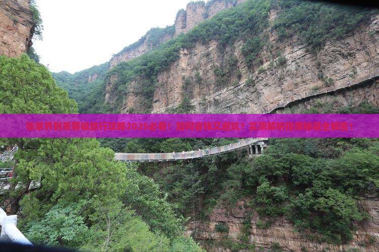 张家界到张家界芙蓉镇旅行社