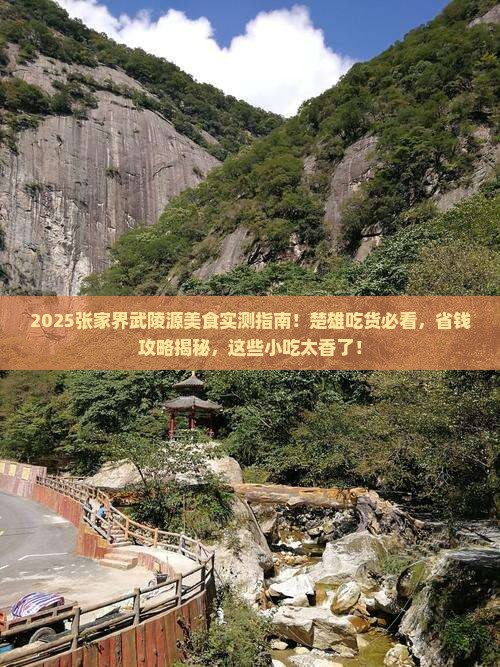 楚雄去张家界武陵源旅游小吃
