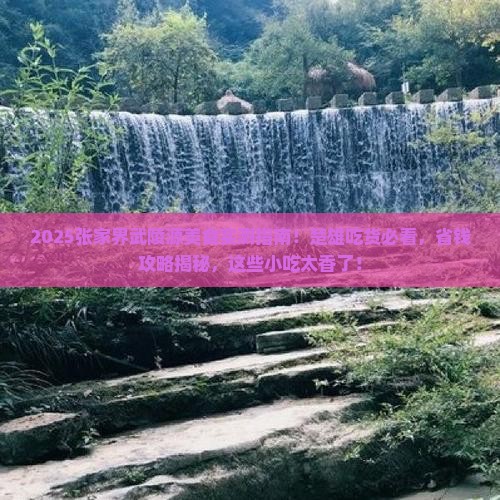 楚雄去张家界武陵源旅游小吃