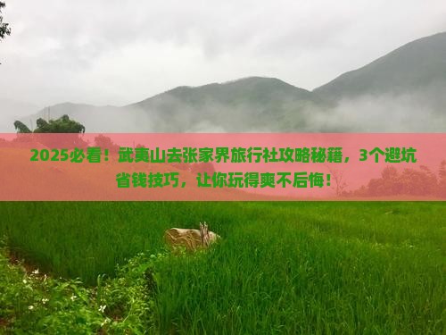 武夷山去张家界旅行社