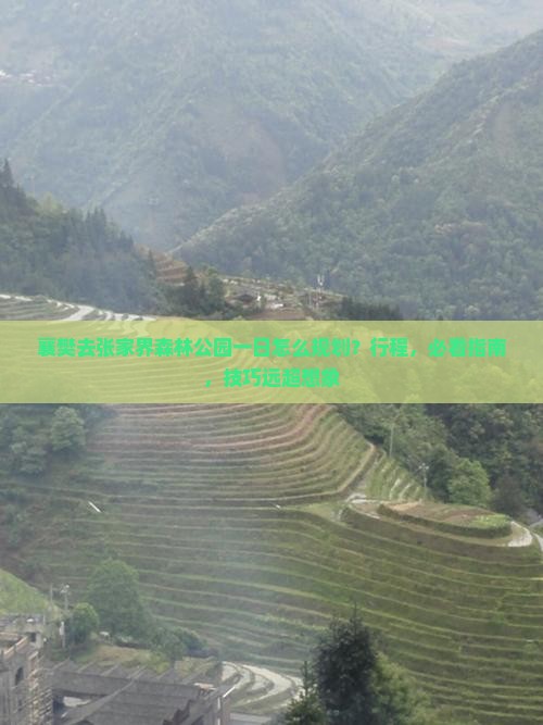 襄樊去张家界森林公园一日