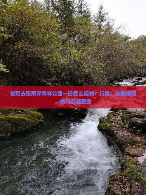 襄樊去张家界森林公园一日