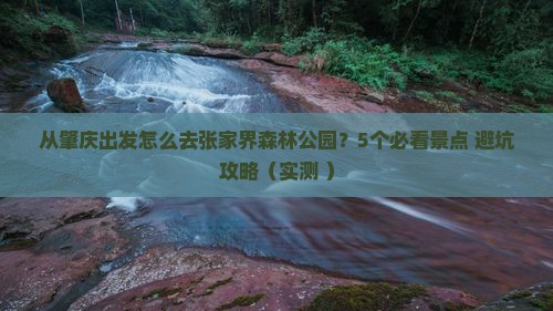肇庆去张家界森林公园景点