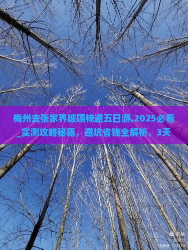 梅州去张家界玻璃栈道五日游